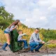 Image 4 for Крісло туристичне розкладне Outtec Sun XXL з дашком зелений